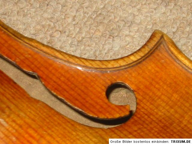 old violin very high arched, Mathias Thier Vienna  